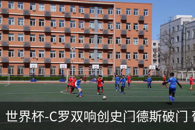 世界杯-C罗双响创史门德斯破门 葡萄牙半场3-0乌兹别克