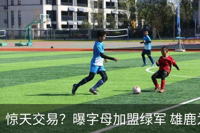 惊天交易？曝字母加盟绿军 雄鹿为布朗寻找第三方