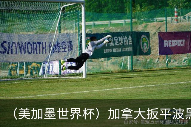 （美加墨世界杯）加拿大扳平波黑 获队史世界杯首分