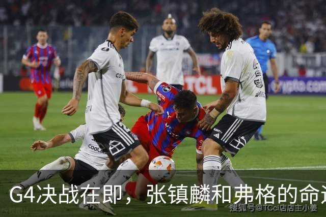 G4决战在即，张镇麟和弗格的命运交织：上海男篮的冠军之路