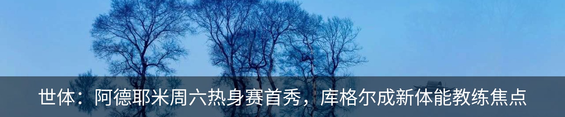 新闻动态