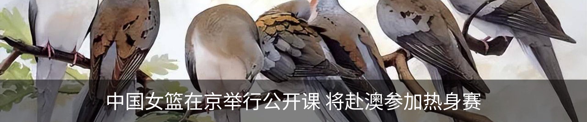 新闻动态