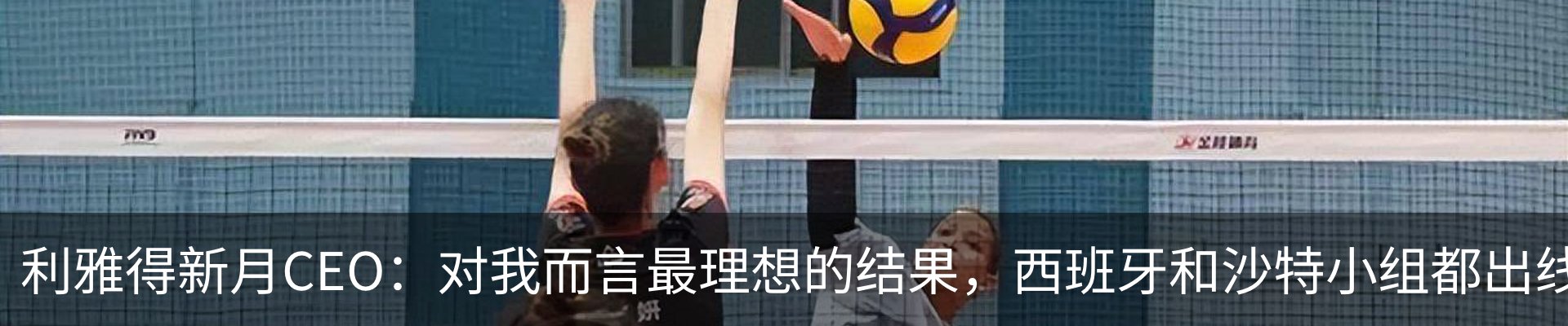 新闻动态