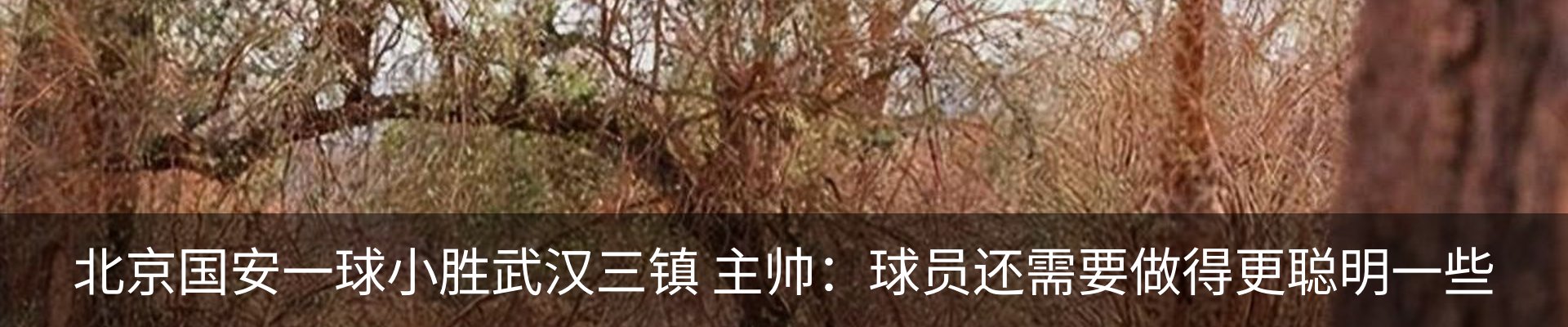 新闻动态