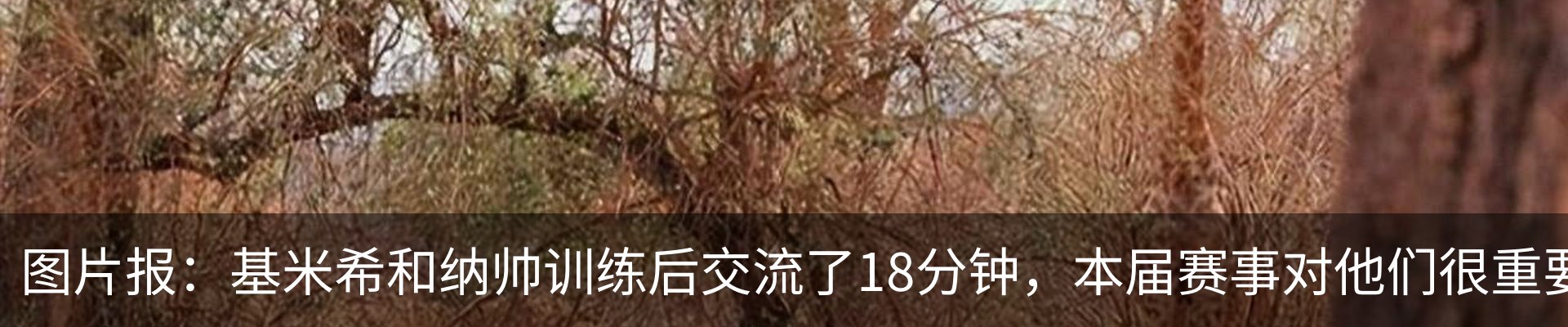 新闻动态