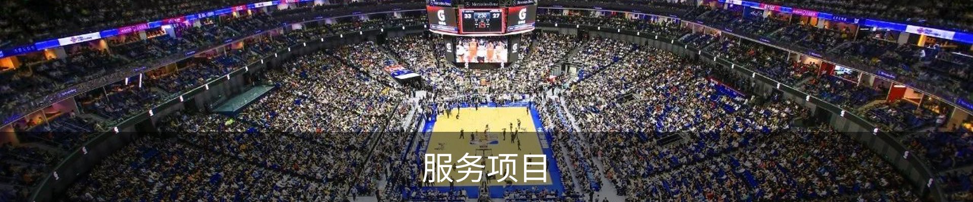 服务项目