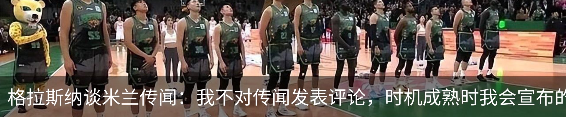 新闻动态