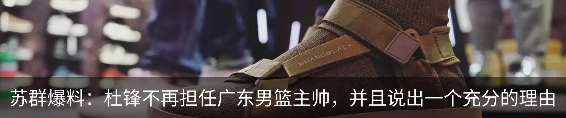 新闻动态