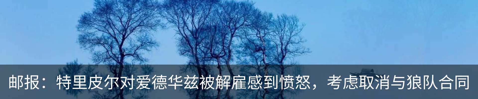 新闻动态